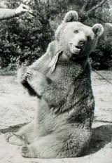wojtek
