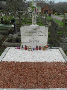 General Jozef (Joseph) Haller von Hallenburg (“the one who married the sea” ). I think it was the best looking tombstone at the cemetery